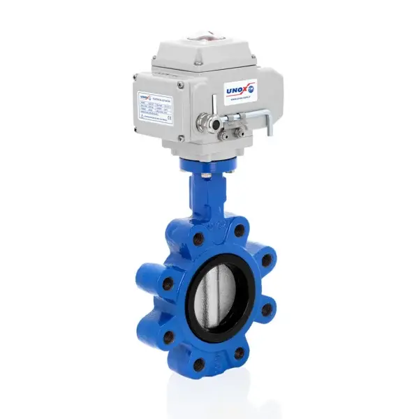 Iron Disc Lug Butterfly Valve With Electric Actuator DN80