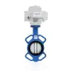 Iron Disc Wafer Butterfly Valve With Electric Actuator