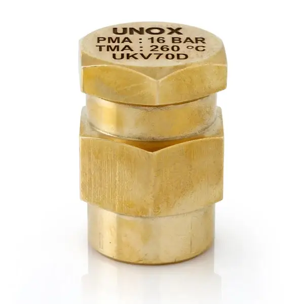 Brass Vacuum Breaker